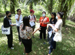 A field visit on a palm oil plantation during TALENT first Summer School in Thailand. © Arjay A. Gerance 